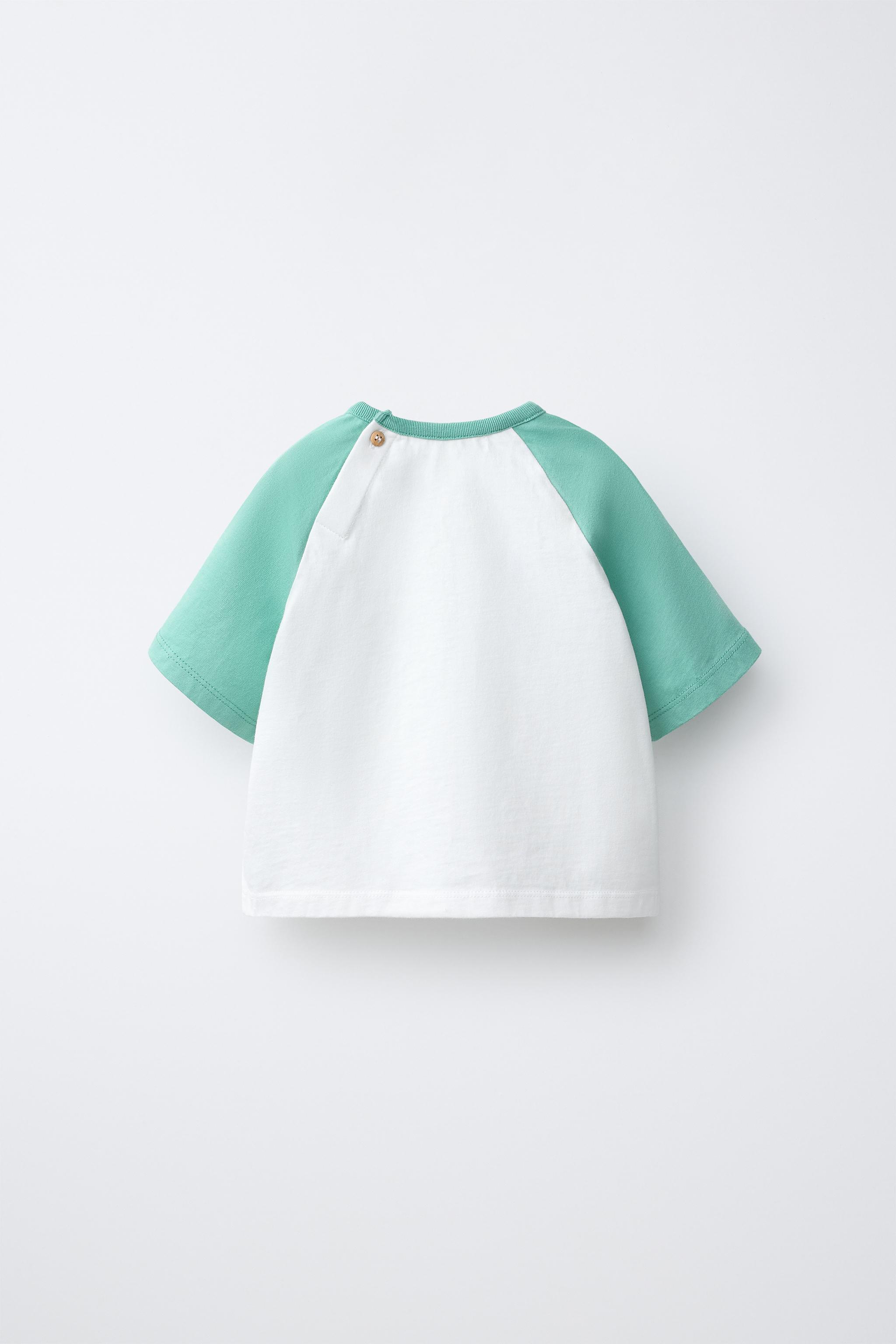PALM TREE RAGLAN SLEEVE T-SHIRT